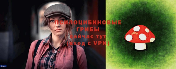 крисы Бугульма
