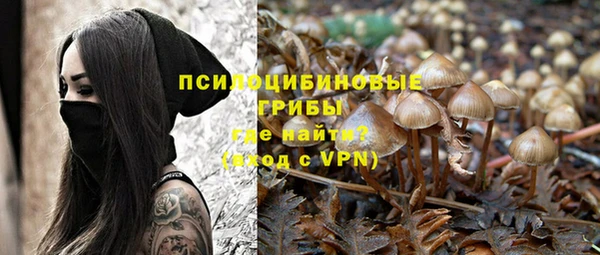 mdpv Бронницы