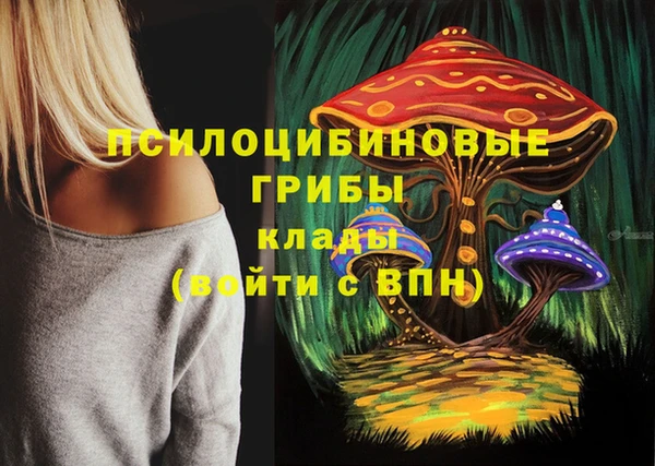 mdma Бородино