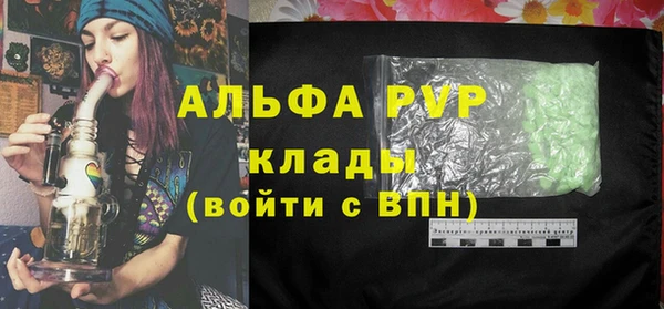 твердый Тайга