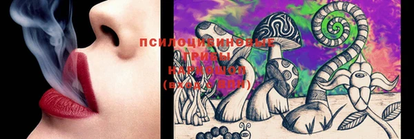 mdma Бородино